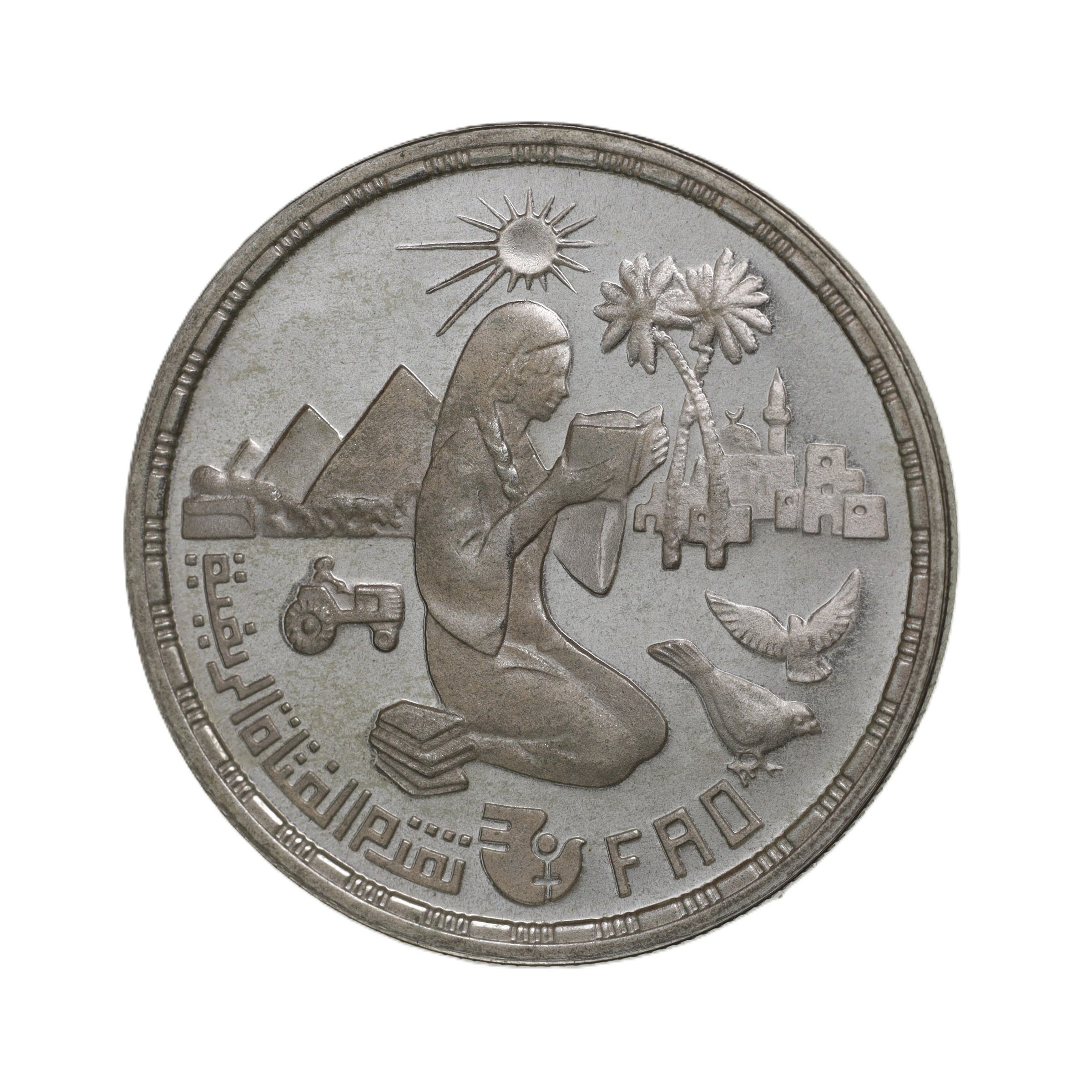 香港 1973年 1ドル コイン エリザベス2世 Hong Kong 1 Dollar